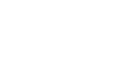 Vivid