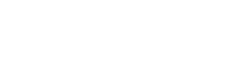 Solution Partner white
