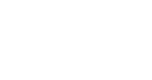 Metricus