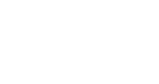 Zigiwave